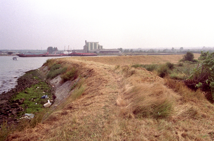 Otterham Quay more recently